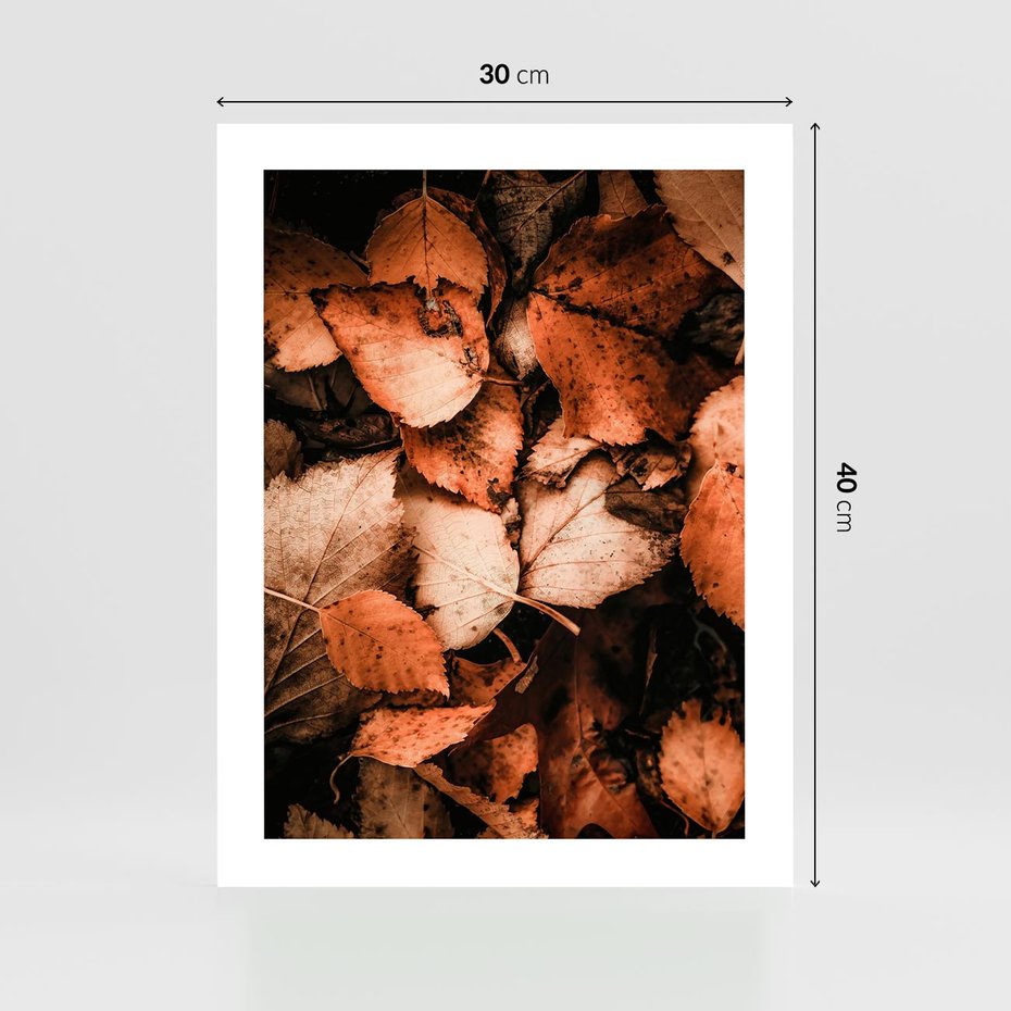 Plakat bez ramy 30x40 - Jesienna Paleta - liście, jesień