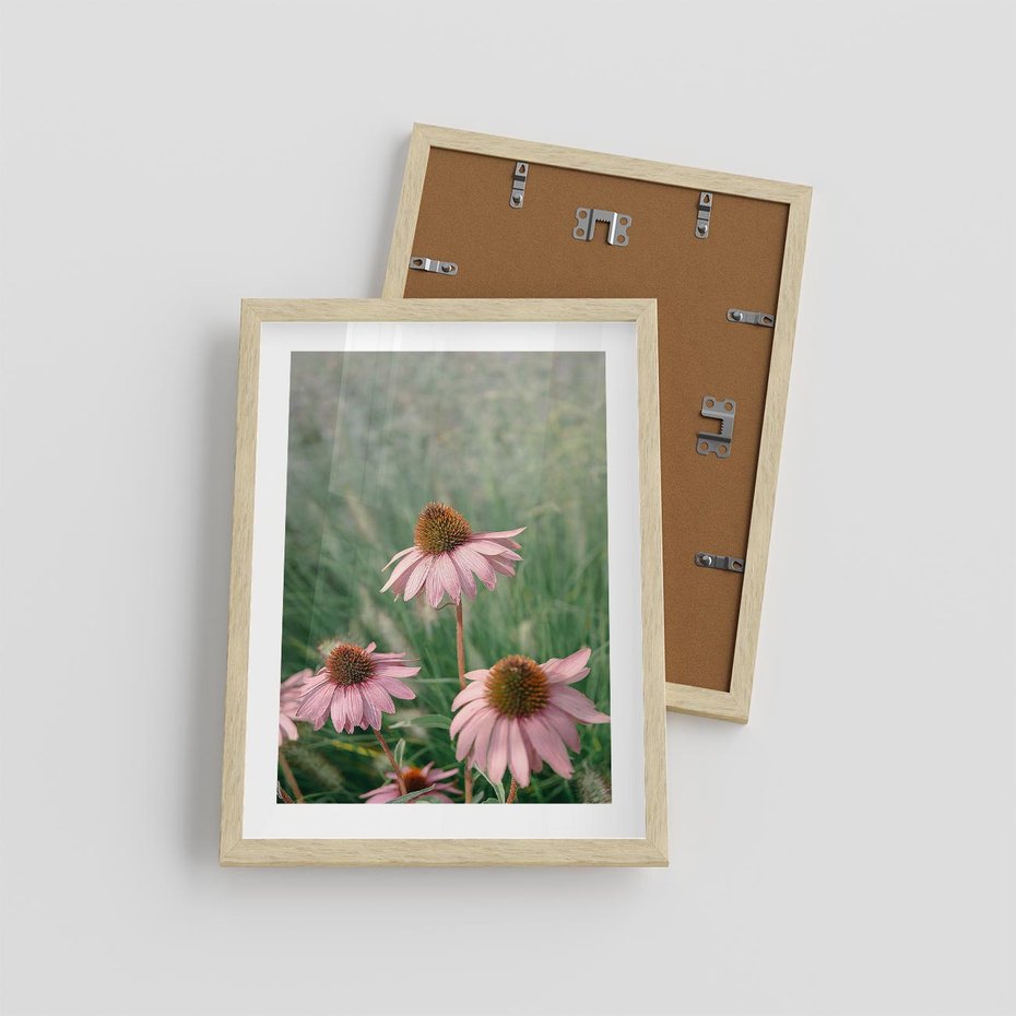 Plakat w ramie 30x40 - Natura w Pełnym Blasku - kwiaty na łące, różowe kwiaty polne - rama drewno