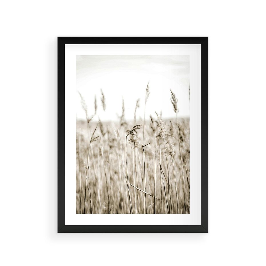 Plakat w ramie 30x40 - Nostalgiczny Pejzaż - suche trawy, pole - rama czarna