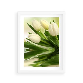 Plakat w ramie 30x40 - Białe Piękno - białe, tulipany - rama biała