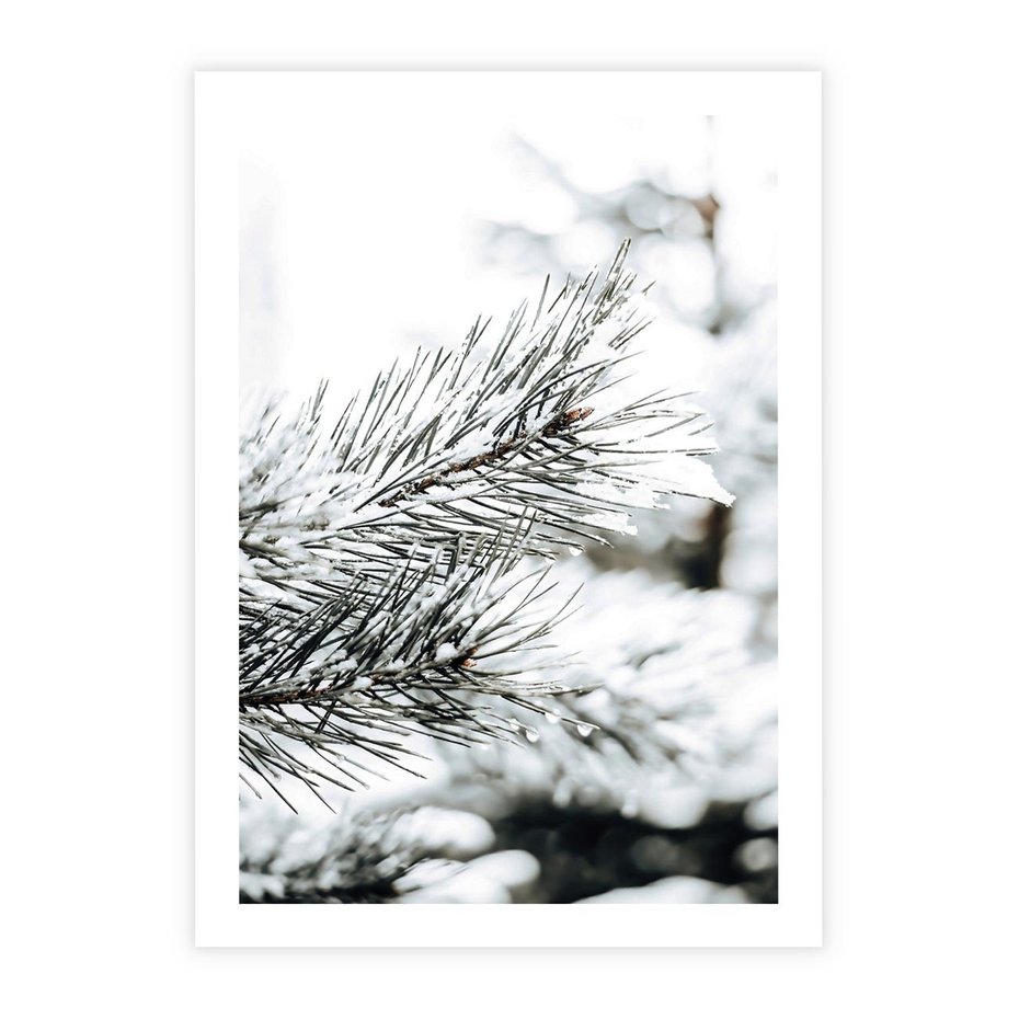Plakat bez ramy 21x30 - Chwila Zimowej Magii - iglasta gałązka, śnieg