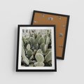 Plakat w ramie 40x50 - Kaktusowa Harmonia - kaktusy, fotografia - rama czarna