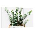 Obraz na płótnie 120x80 - Eukaliptusowa harmonia - eukaliptus, liście