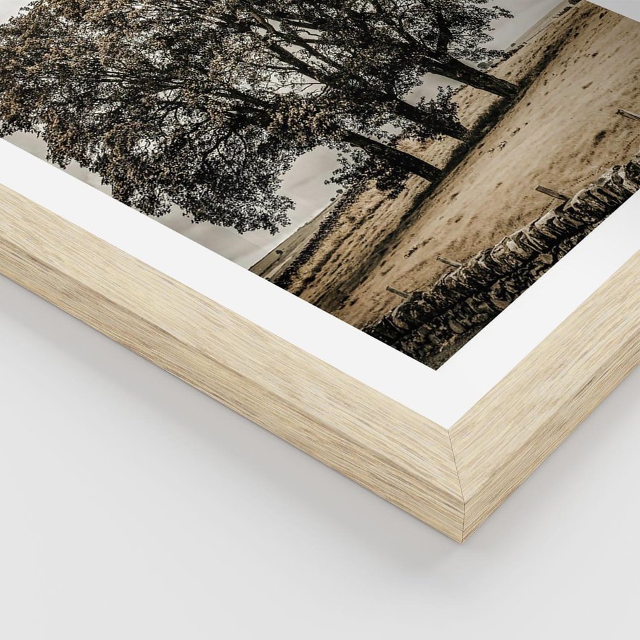 Plakat w ramie 30x40 - Spokojna Osamotniona Chwila - beżowe kolory, samotne drzewo na polu - rama drewno