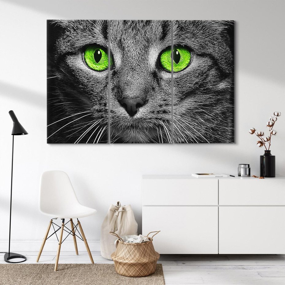 Obraz na płótnie 120x80 - Przestreń nautra doznania - kot, kotek