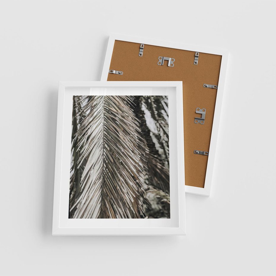 Plakat w ramie 40x50 - Egzotyczne Gałęzie - suche gałęzie, liście palmy - rama biała