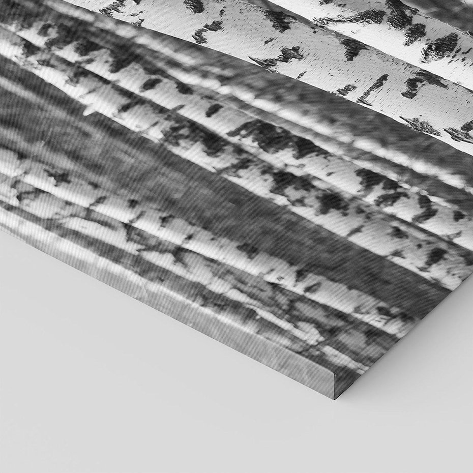 Obraz na płótnie 60x60 - Kontrast Monochromatyczny - brzozy, czarno