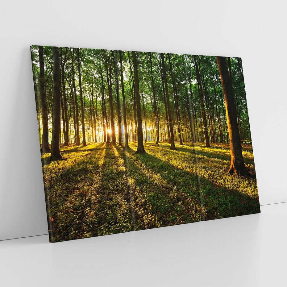 Obraz na płótnie 120x80 - Mistyfikujący urok leśnej głuszy - las, drzewa