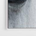 Obraz w ramie 50x70 - Oko Mocy - czarno białe zdjęcie, zbliżenie makro na oko konia - rama biała