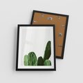 Plakat w ramie 40x50 - Minimalizm Natury - kaktus, zbliżenie - rama czarna