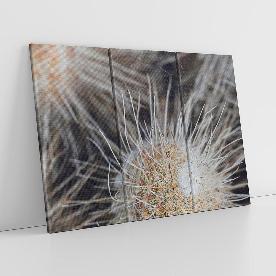 Obraz na płótnie 120x80 - Ulotna Piękność Natury - makro, dmuchawce