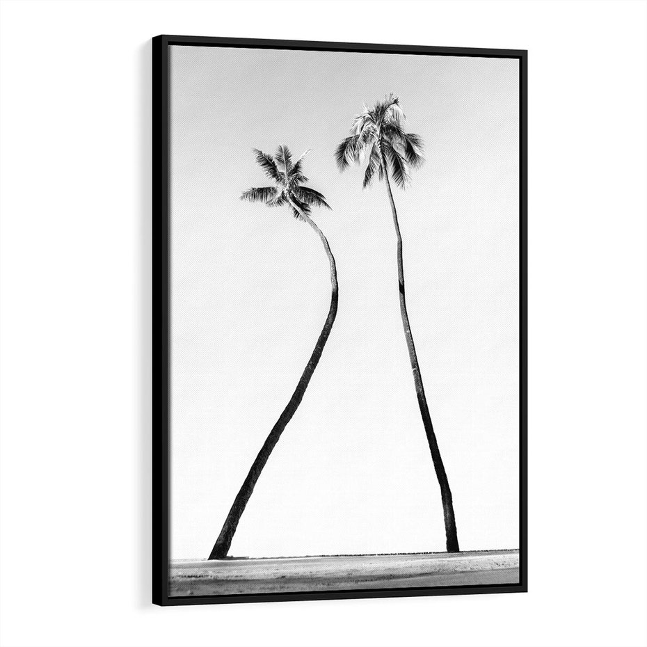 Obraz w ramie 50x70 - Samotne Palmy - czarno biała fotografia, dwie samotne palmy - rama czarna