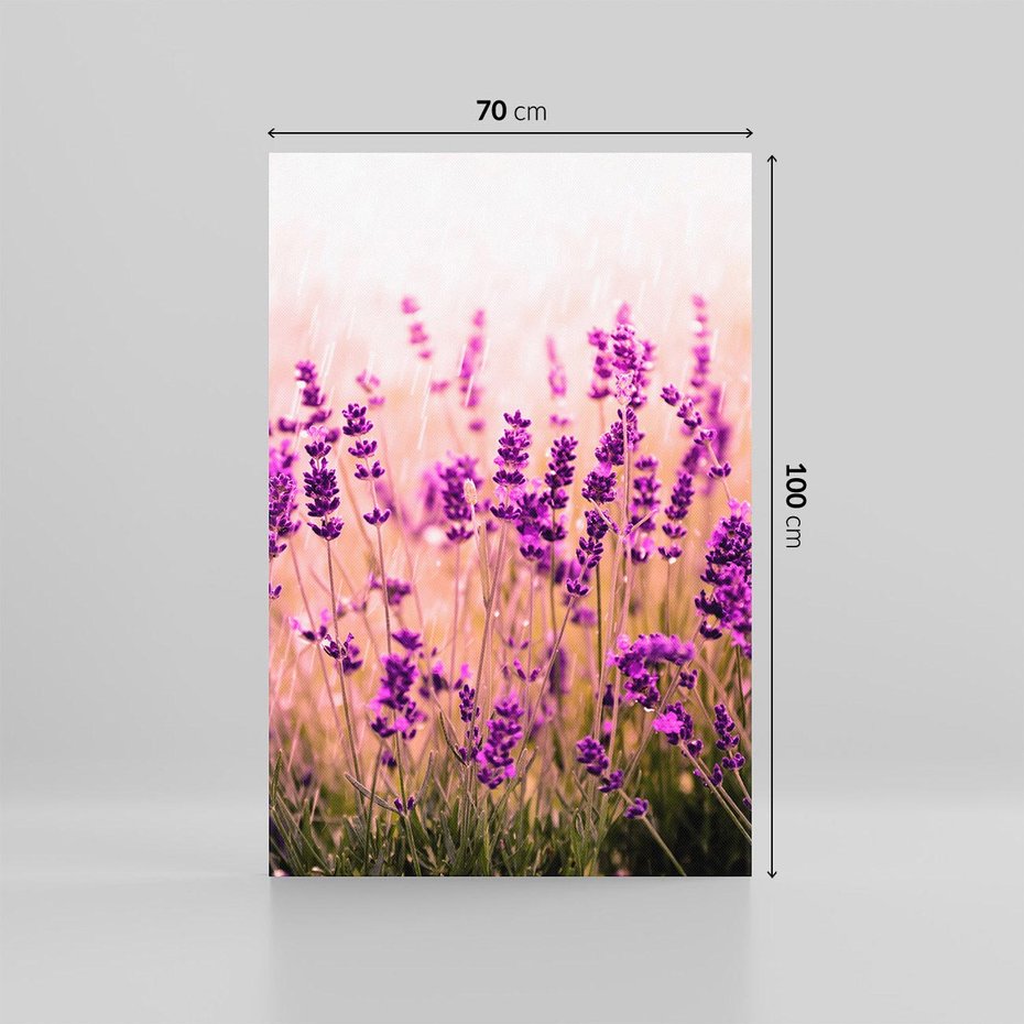 Obraz na płótnie 70x100 - Lawenda: Pachnące pole kwiatów - kwiaty, lawenda