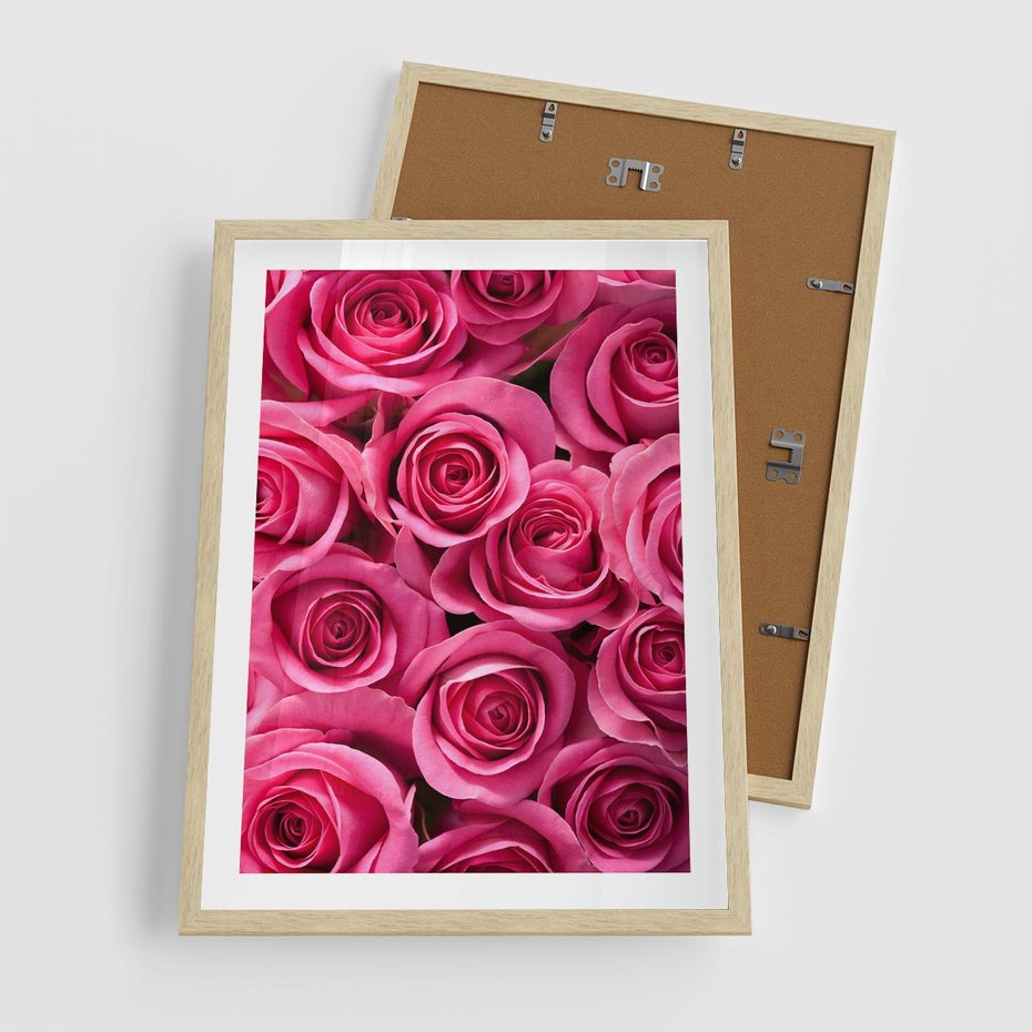 Plakat w ramie 50x70 - Romantyczne róże w pełnym rozkwicie - róże, kwiaty - rama drewno