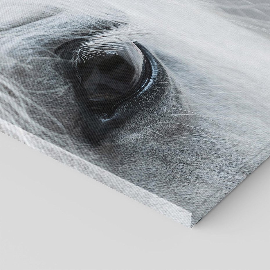 Obraz na płótnie 80x80 - Oko Mocy - czarno białe zdjęcie, zbliżenie makro na oko konia