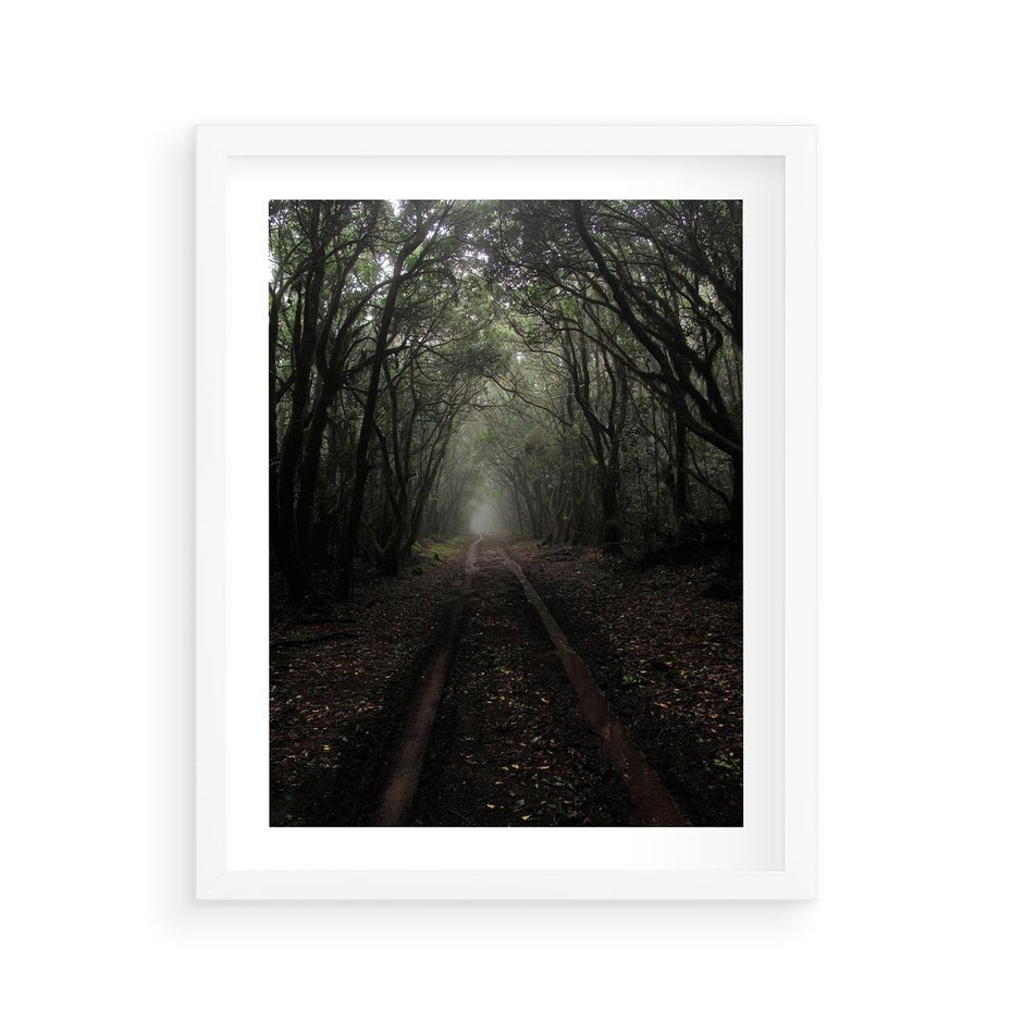 Plakat w ramie 40x50 - Urok Drogi - las, droga - rama biała