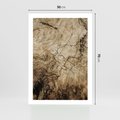 Plakat bez ramy 50x70 - Słoje Natury - słoje drzewa, pieńdrzewa