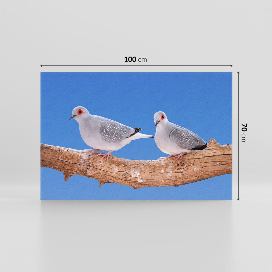 Obraz na płótnie 100x70 - Gołębie w locie - gołębie, gołąb