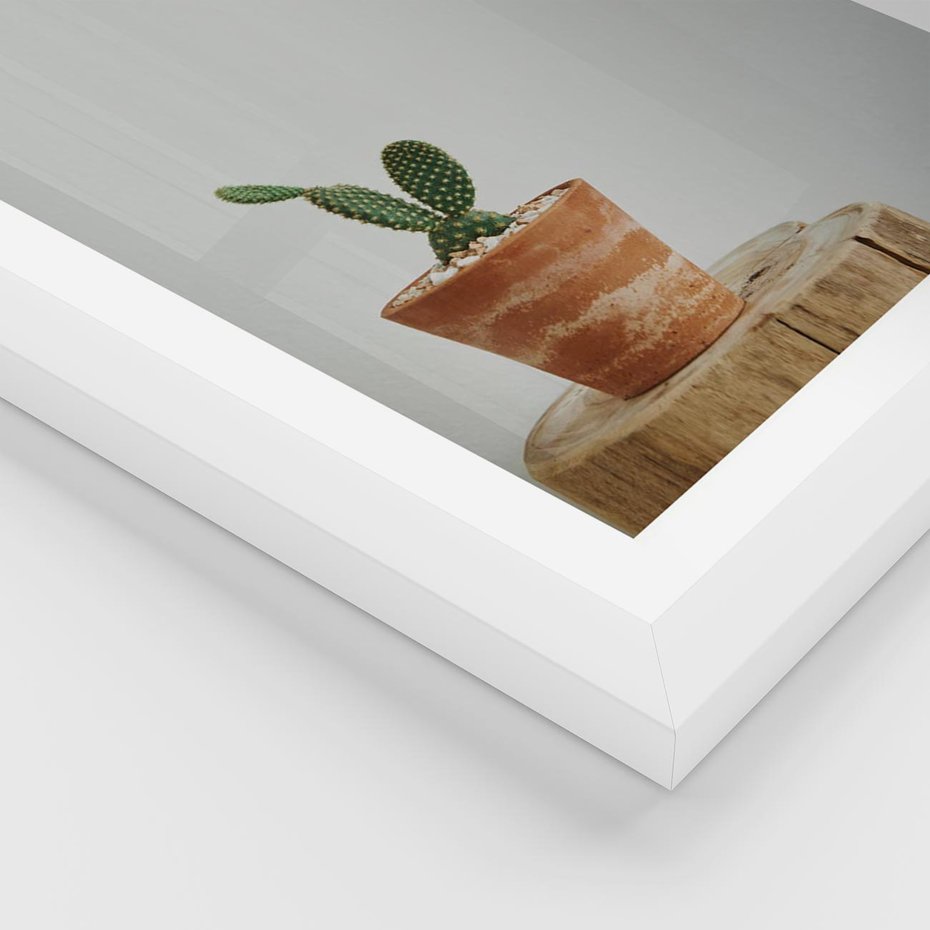 Plakat w ramie 40x50 - Kaktus w Doniczce - minimalizm, kaktur w doniczce - rama biała