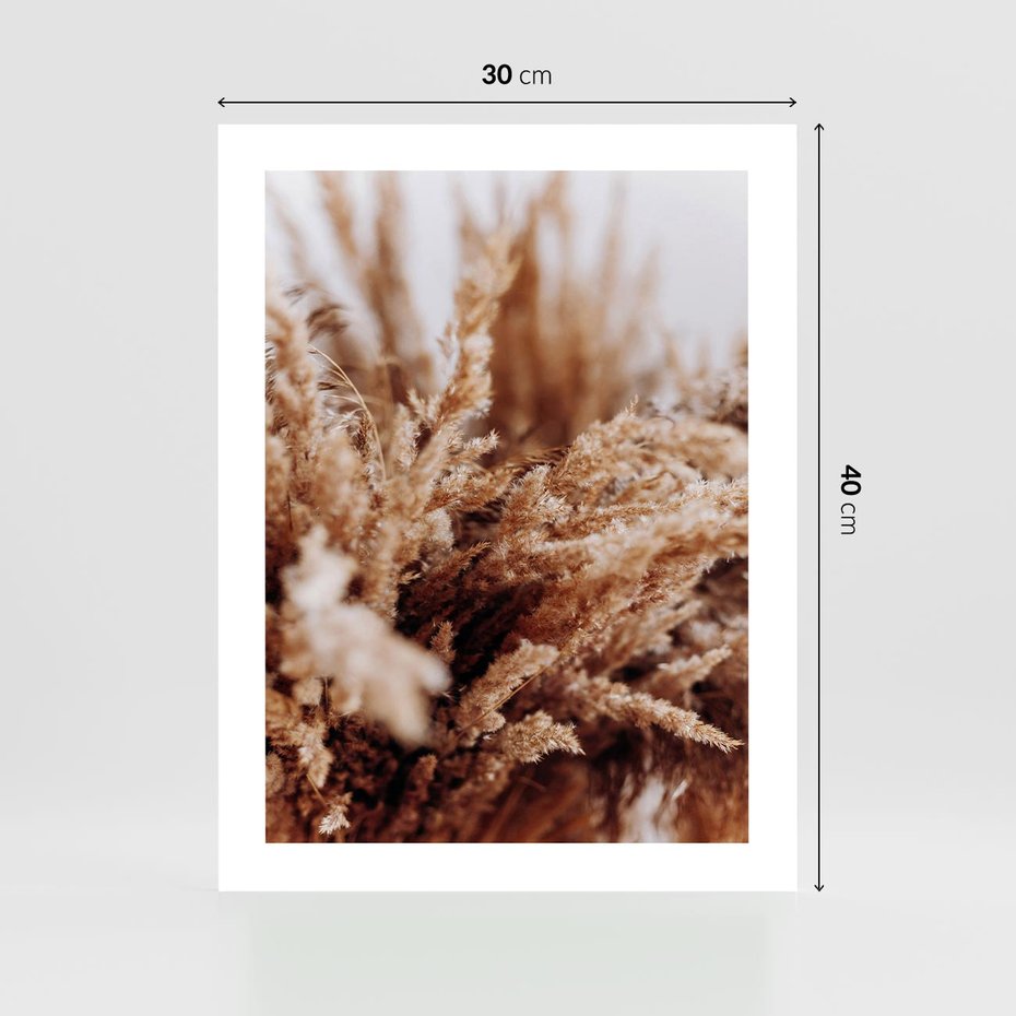 Plakat bez ramy 30x40 - Sztuka Suszonych Traw - trawa pampas, suszone trawy