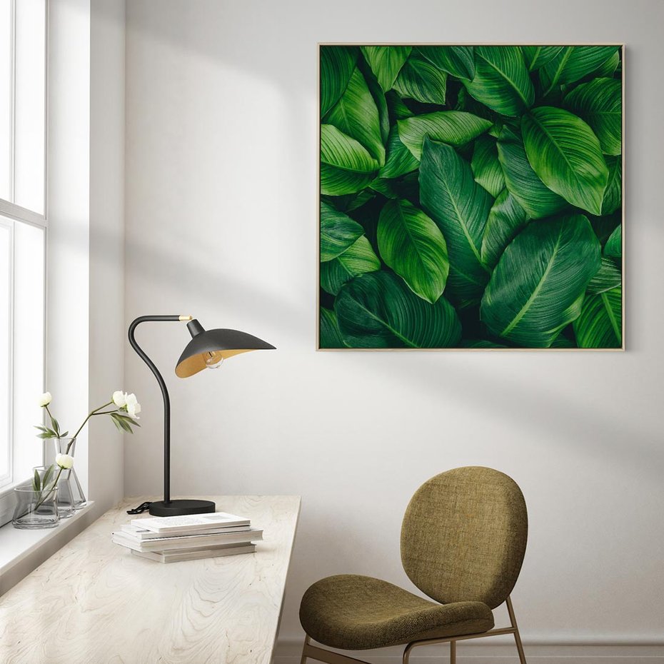 Obraz w ramie 50x50 - Palma Liście Kwiat - palma, liście - rama drewno