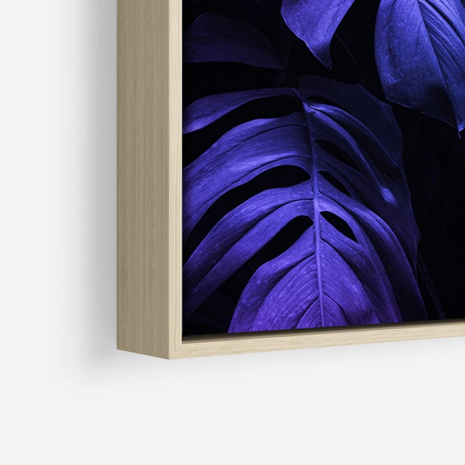 Obraz w ramie 100x70 - Mroczna Magia Dżungli - mroczna grafika, fioletowe liście monstery na czarnym tle - rama drewno