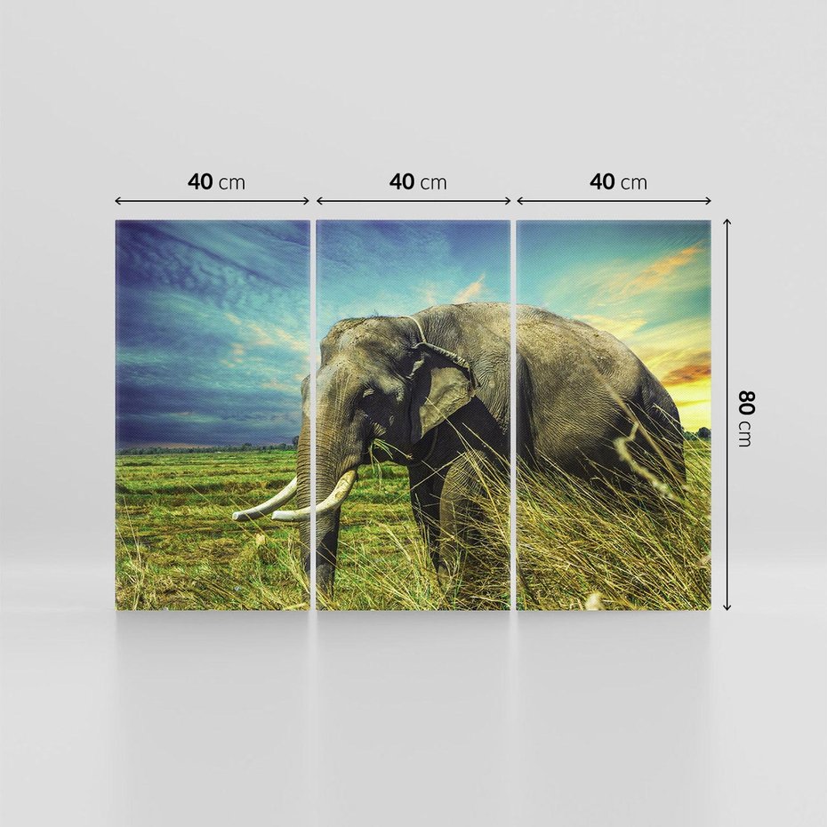 Obraz na płótnie 120x80 - Słoń w sawannie: Spotkanie z dziką przyrodą - słoń, sawanna