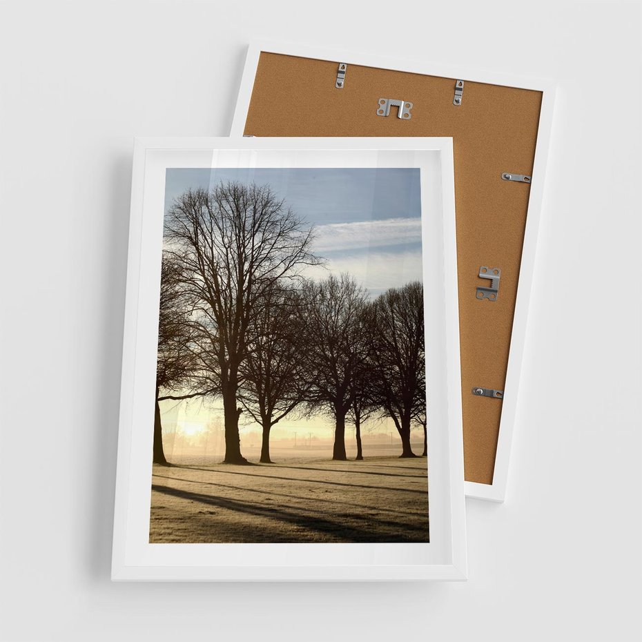 Plakat w ramie 50x70 - Siła natury - drzewa, pole - rama biała