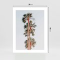 Plakat bez ramy 30x40 - Kształty Palm - palmy, zdjęcie