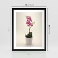 Plakat w ramie 40x50 - Delikatność storczyka orchidei - storczyk, orchidea - rama czarna