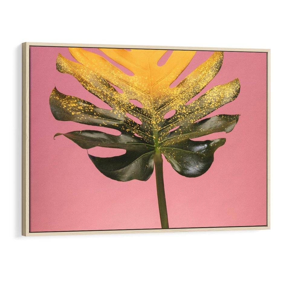 Obraz w ramie 70x50 - Majestatyczna monstera - monstera, liść - rama drewno