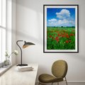 Plakat bez ramy 40x50 - Kolorowa łąka pełna maku - łąka, maki