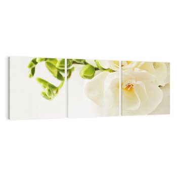 Obraz na płótnie 120x40 - Subtelność białych frezji - frezja, białe