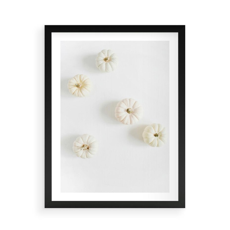 Plakat w ramie 50x70 - Biała Jesień: Dynie na Jasnym Tle - białe dynie, białe tło - rama czarna