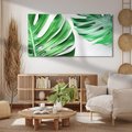 Obraz na płótnie 120x60 - Monstera - Liście Kwiaty - monstera, liście