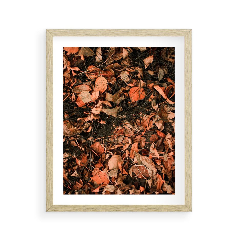 Plakat w ramie 40x50 - Jesienny Splot: Pomarańczowe Liście - liście, pomarańczowe suche liście - rama drewno