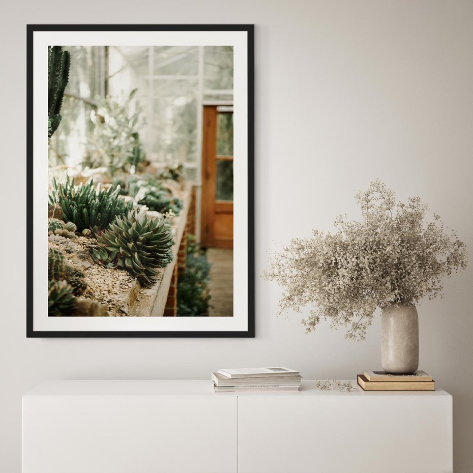 Plakat bez ramy 21x30 - Sukulenty w Szklarni - sukulenty, w szklarni