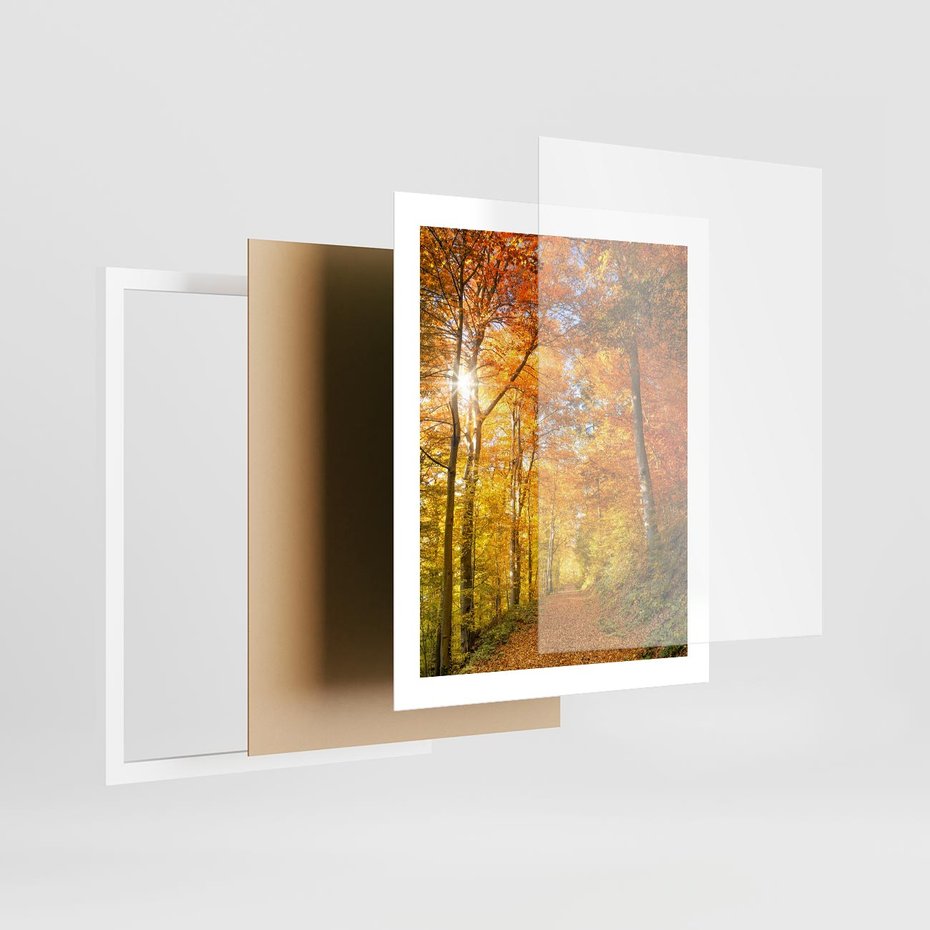 Plakat w ramie 40x50 - Złote barwy jesiennego lasu - las, jesień - rama biała