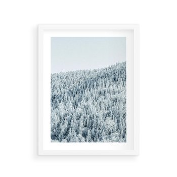 Plakat w ramie 30x40 - Cicha Zima - las, zima - rama biała