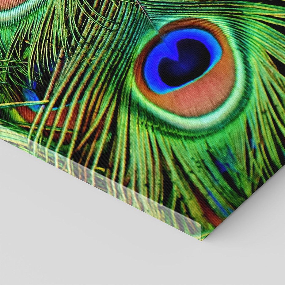 Obraz na płótnie 50x70 - Pawi Ogon - Piękno i Wspaniałość - paw, pióra