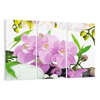 Obraz na płótnie 120x80 - Orchidea w SPA - spa, orchidea