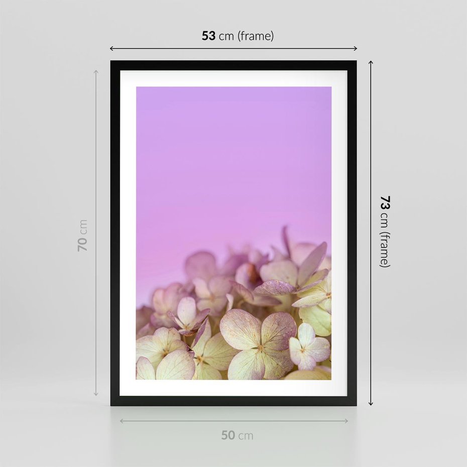 Plakat w ramie 50x70 - Kwiatowa Uroda - kwiaty, hortensje - rama czarna