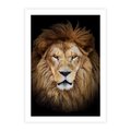 Plakat bez ramy 30x40 - Król zwierząt w majestatycznym stylu - lew, król