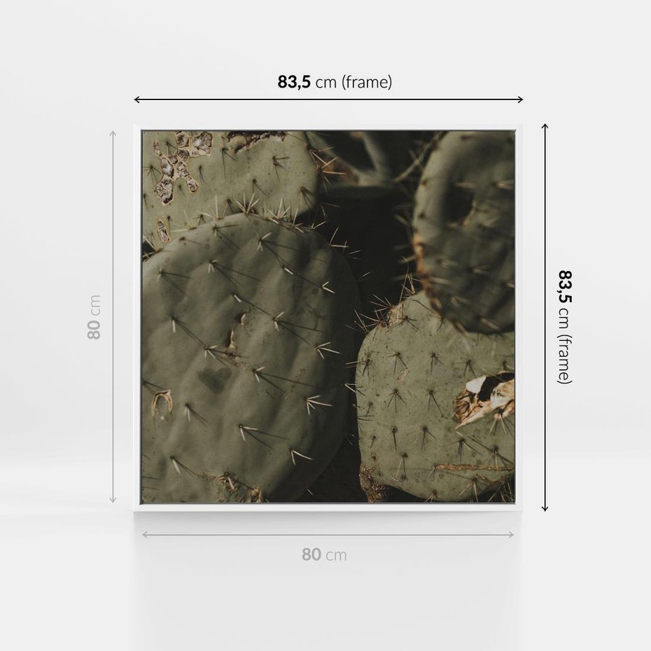 Obraz w ramie 80x80 - Urok Egzotyki - kaktusy, boho - rama biała