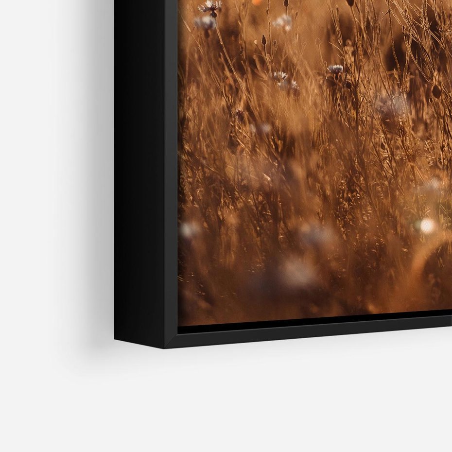 Obraz w ramie 50x50 - Zachwyt zachodem słońca na łące - zachód, słońca - rama czarna