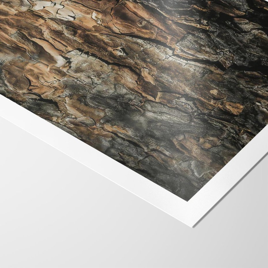 Plakat bez ramy 21x30 - Tekstura Drewna: Zbliżenie - zbliżenie na pień drzewa, tekstura