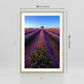 Plakat w ramie 50x70 - Fioletowa Magia - pole, lawendy - rama drewno