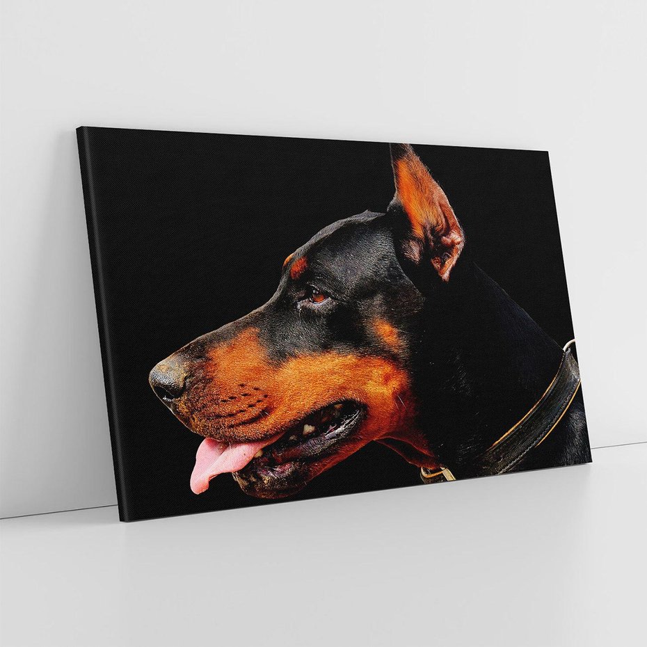 Obraz na płótnie 120x80 - Sztuka psiego uśmiechu - pies, piesek