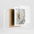 Plakat w ramie 40x50 - Białe Kwiaty Delikatności - białe, kwiaty - rama biała