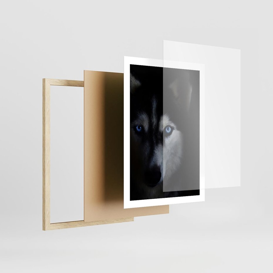 Plakat w ramie 50x70 - Wilk i husky: siła przyjaźni - wilk, husky - rama drewno